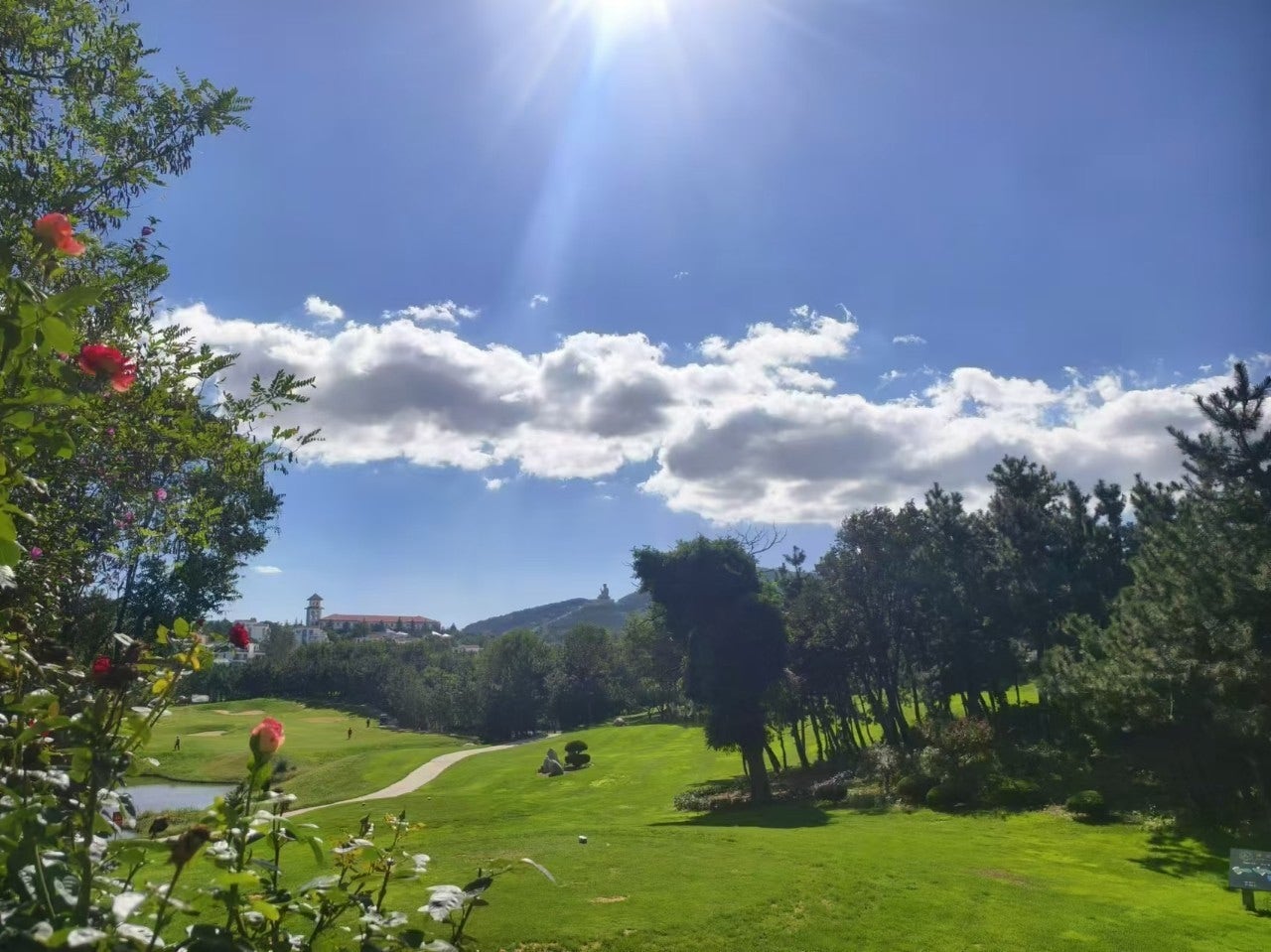 사용자가 올린 이미지