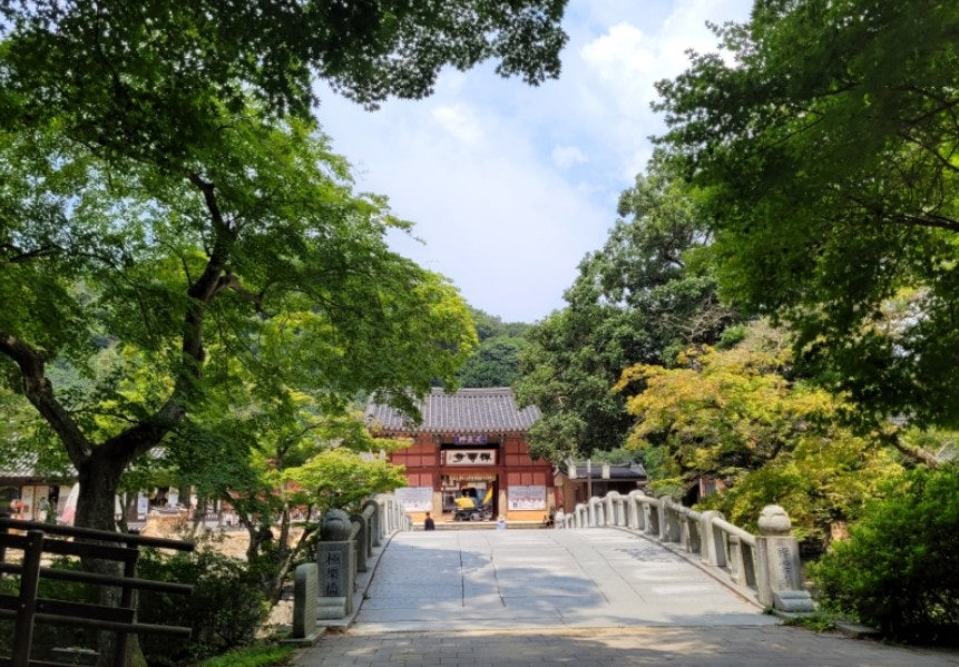 명신관광 이미지
