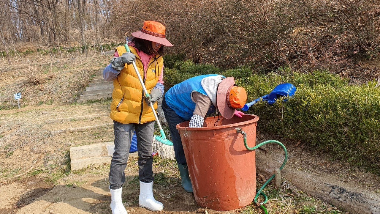 사용자가 올린 이미지