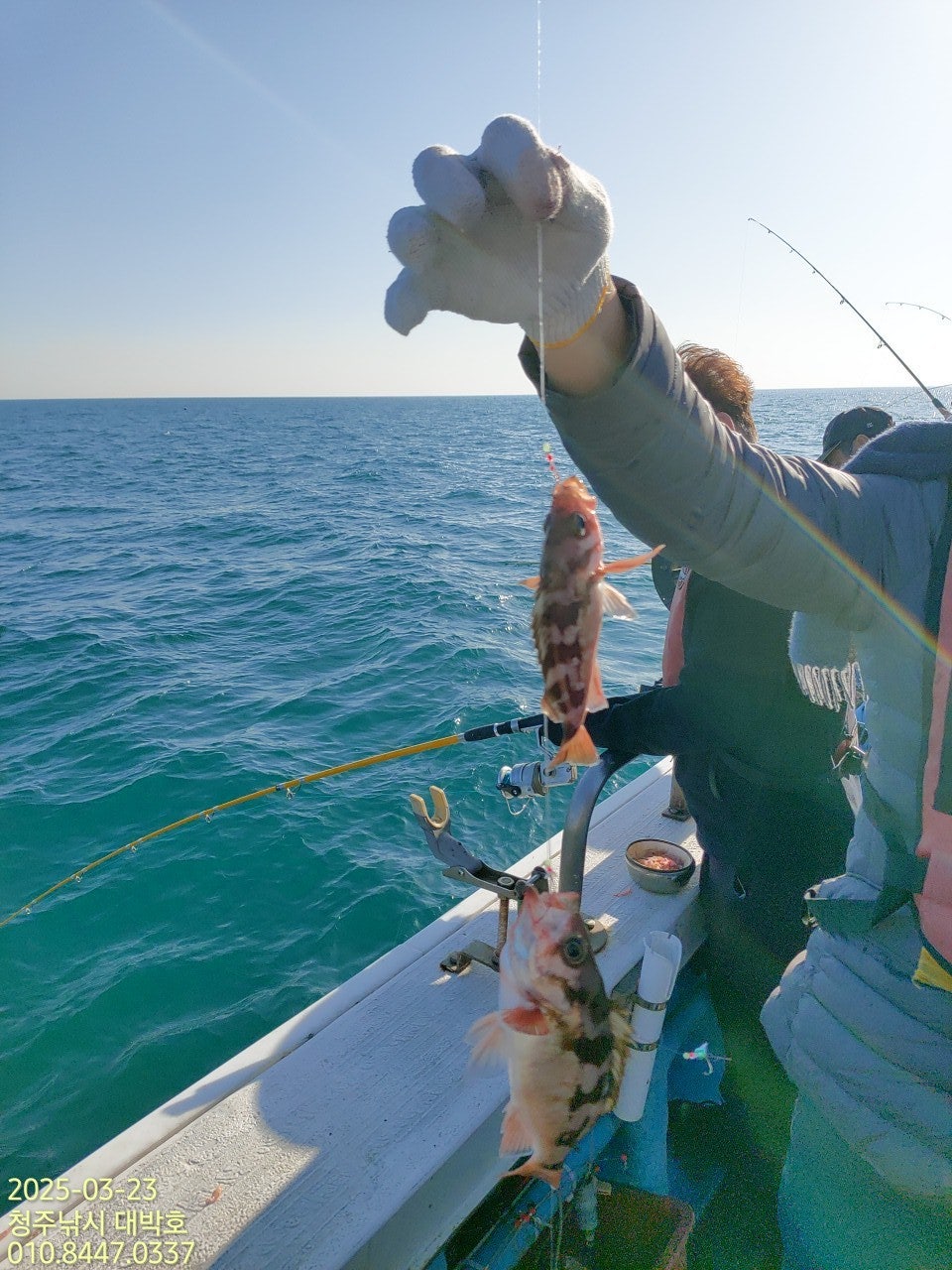 사용자가 올린 이미지