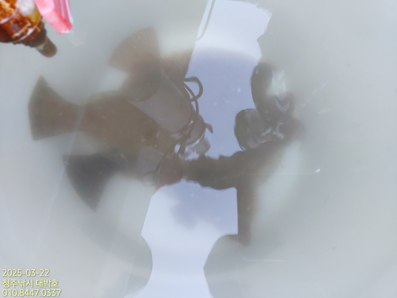 사용자가 올린 이미지