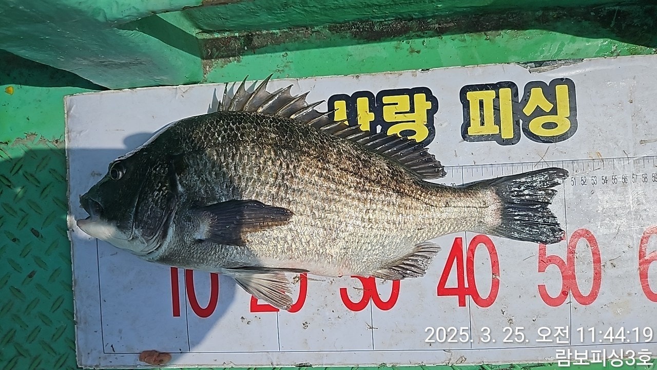 ڰ ø ̹