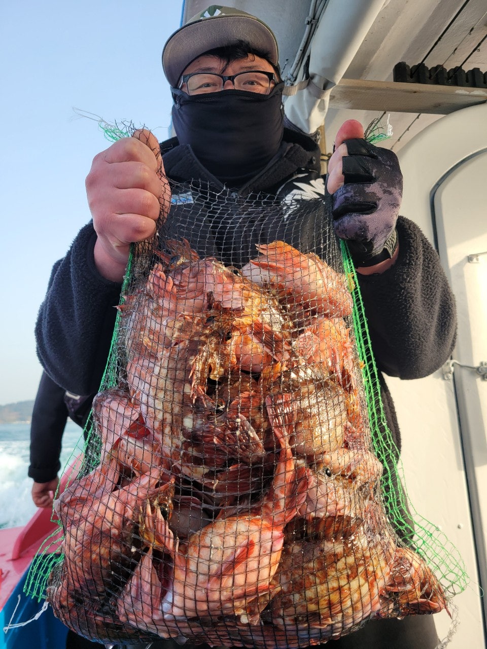 사용자가 올린 이미지