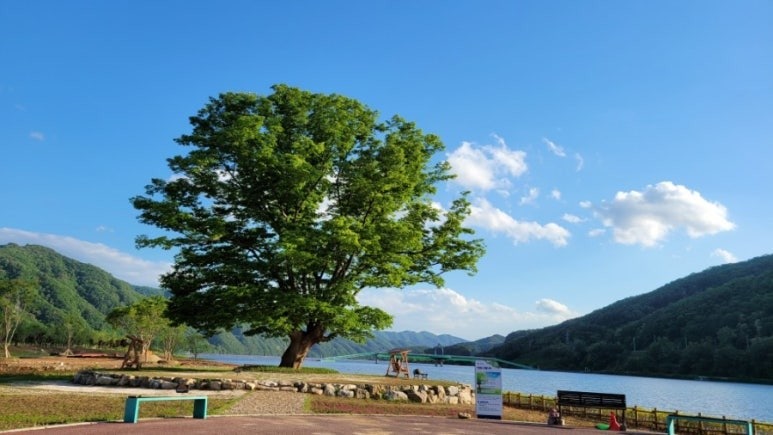 사용자가 올린 이미지