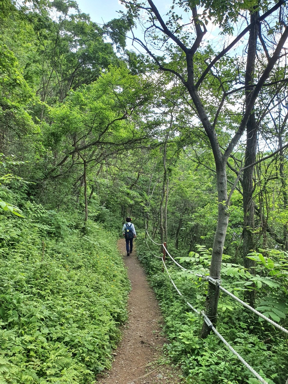 사용자가 올린 이미지