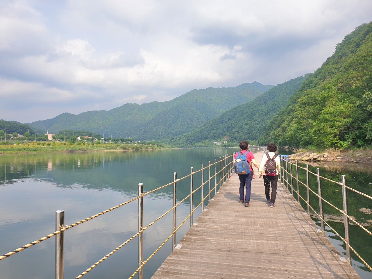 사용자가 올린 이미지