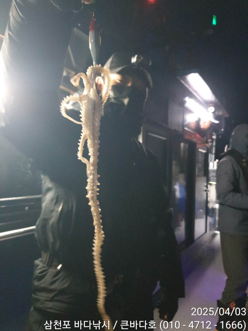 band images