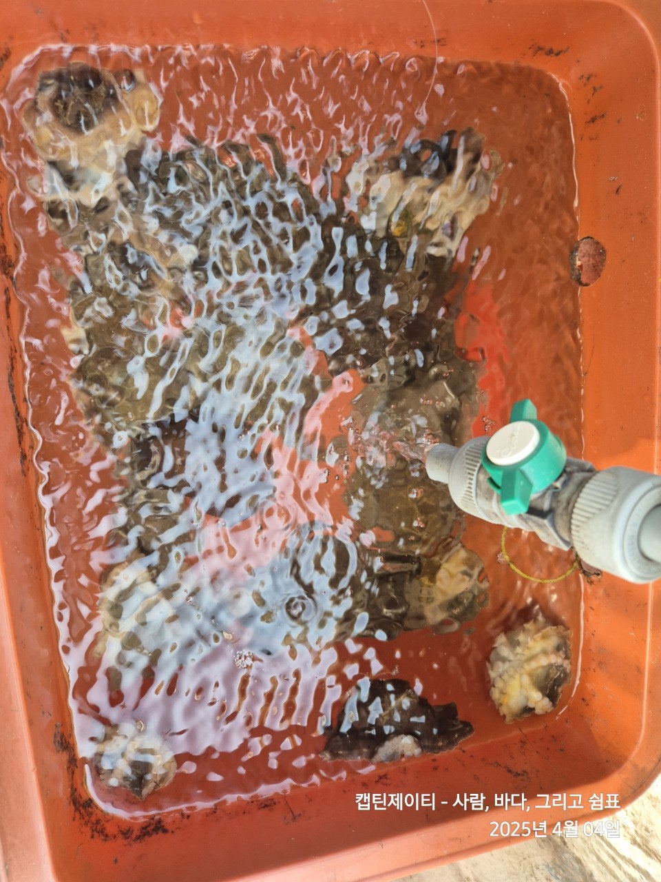 사용자가 올린 이미지