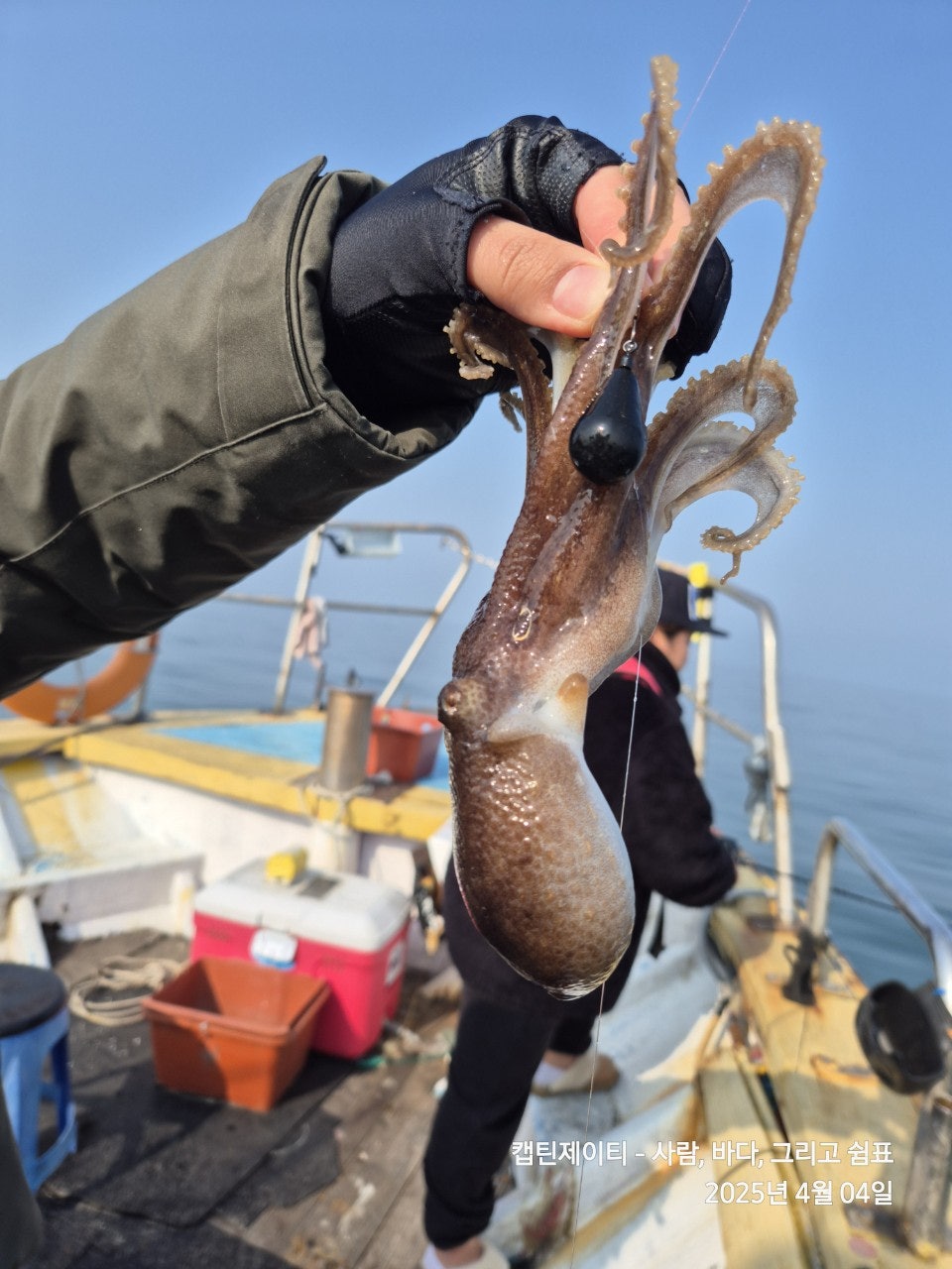 사용자가 올린 이미지