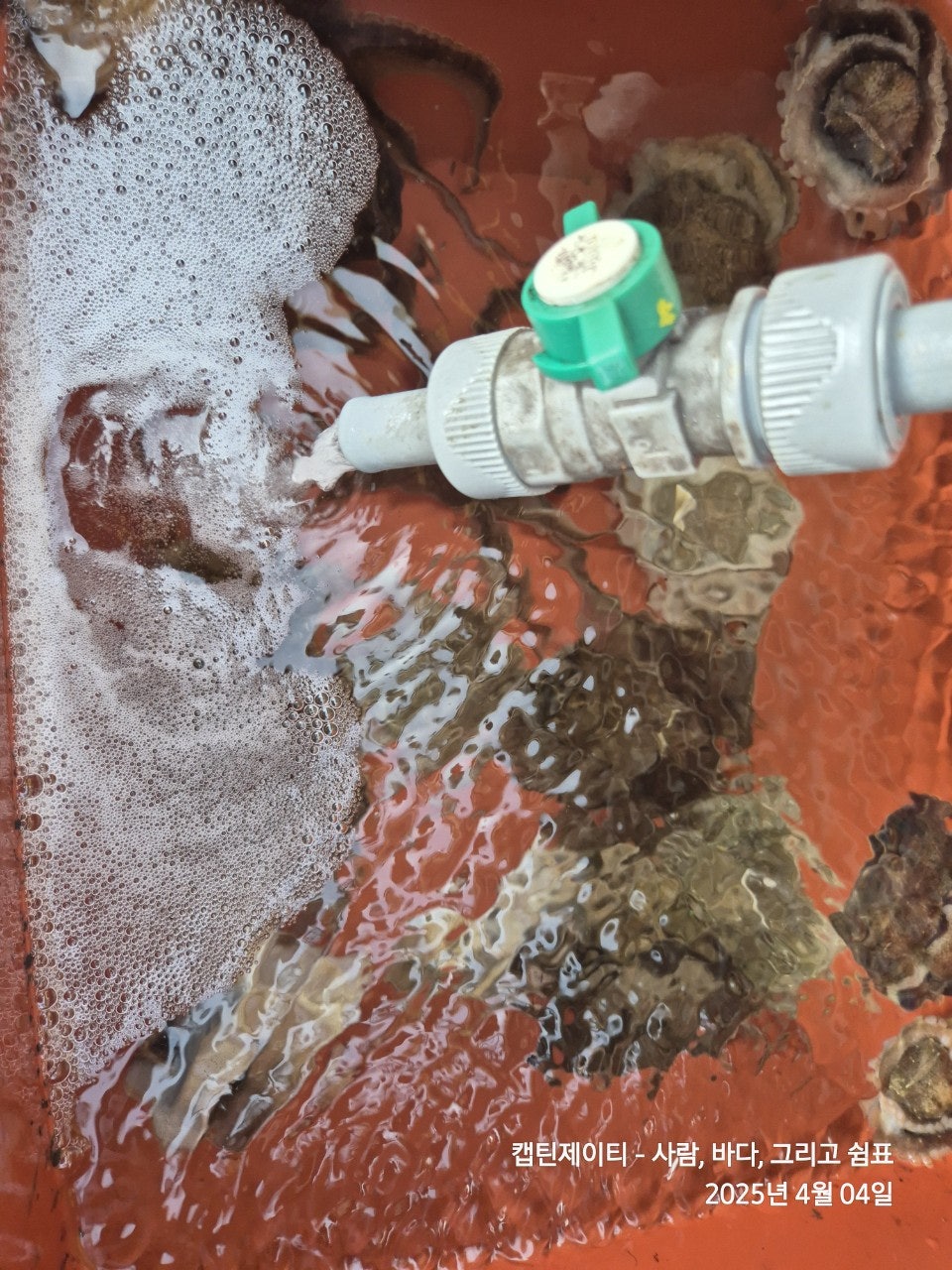 사용자가 올린 이미지