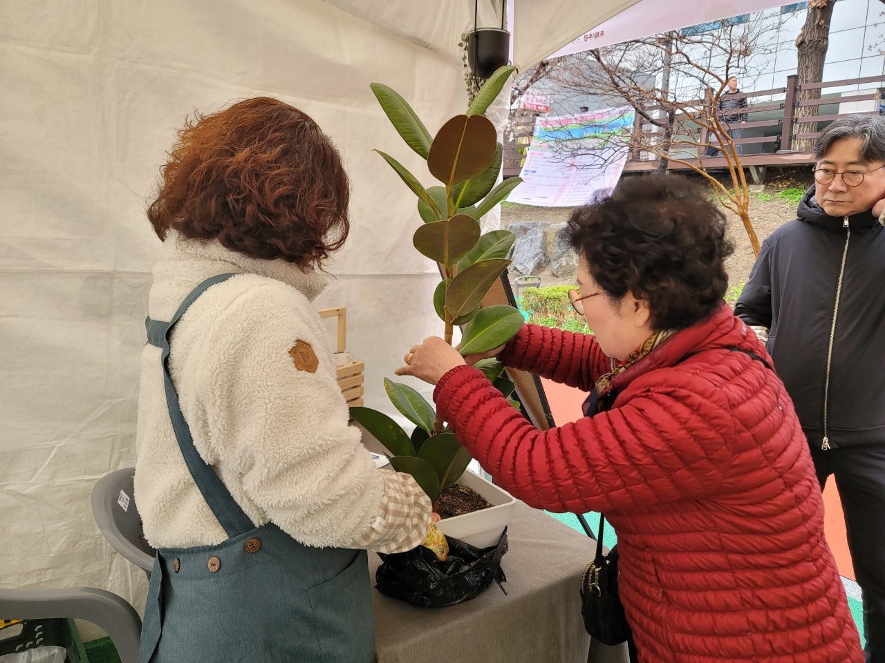 사용자가 올린 이미지