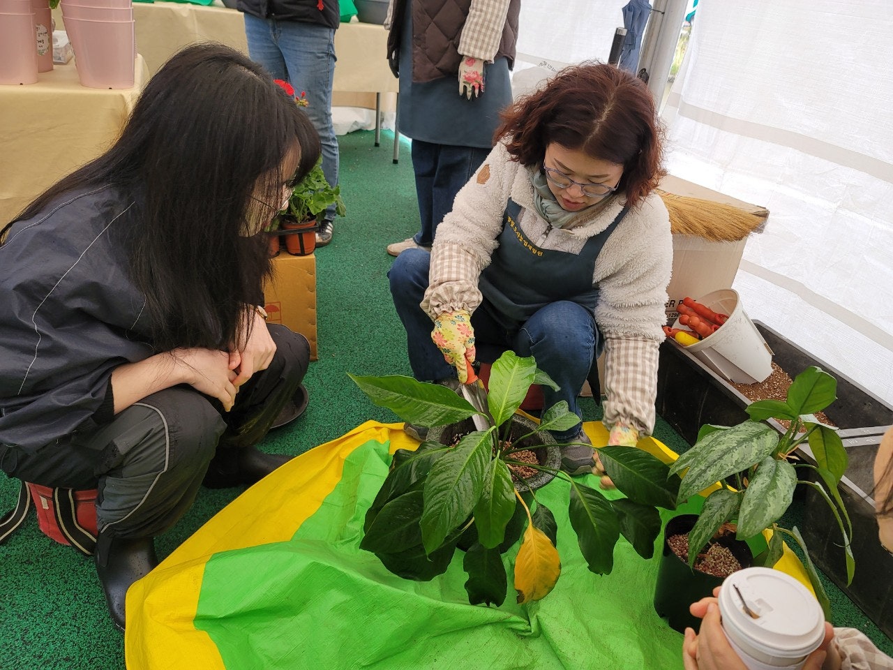 사용자가 올린 이미지