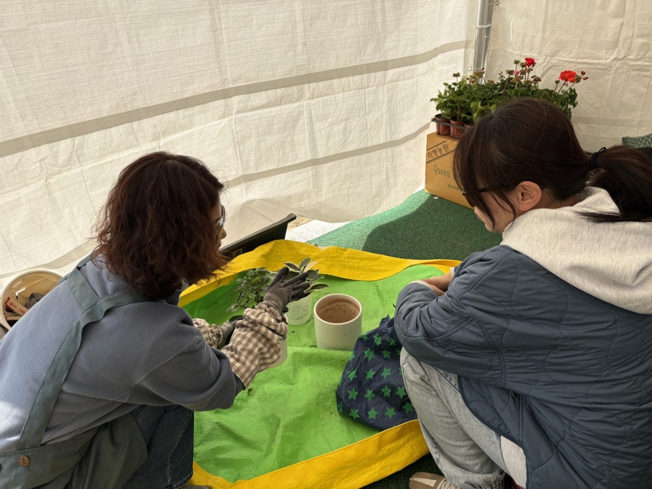 사용자가 올린 이미지