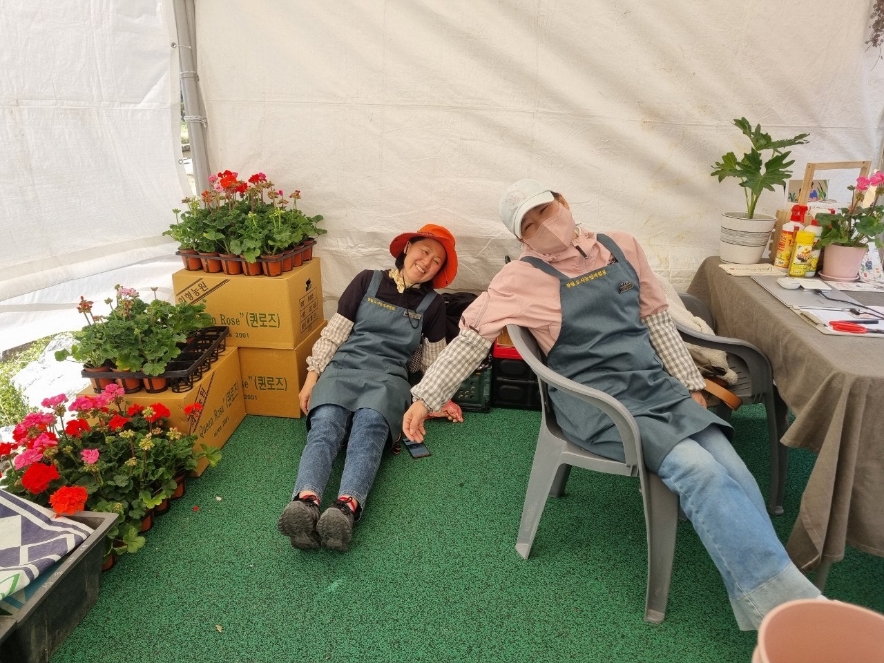 사용자가 올린 이미지