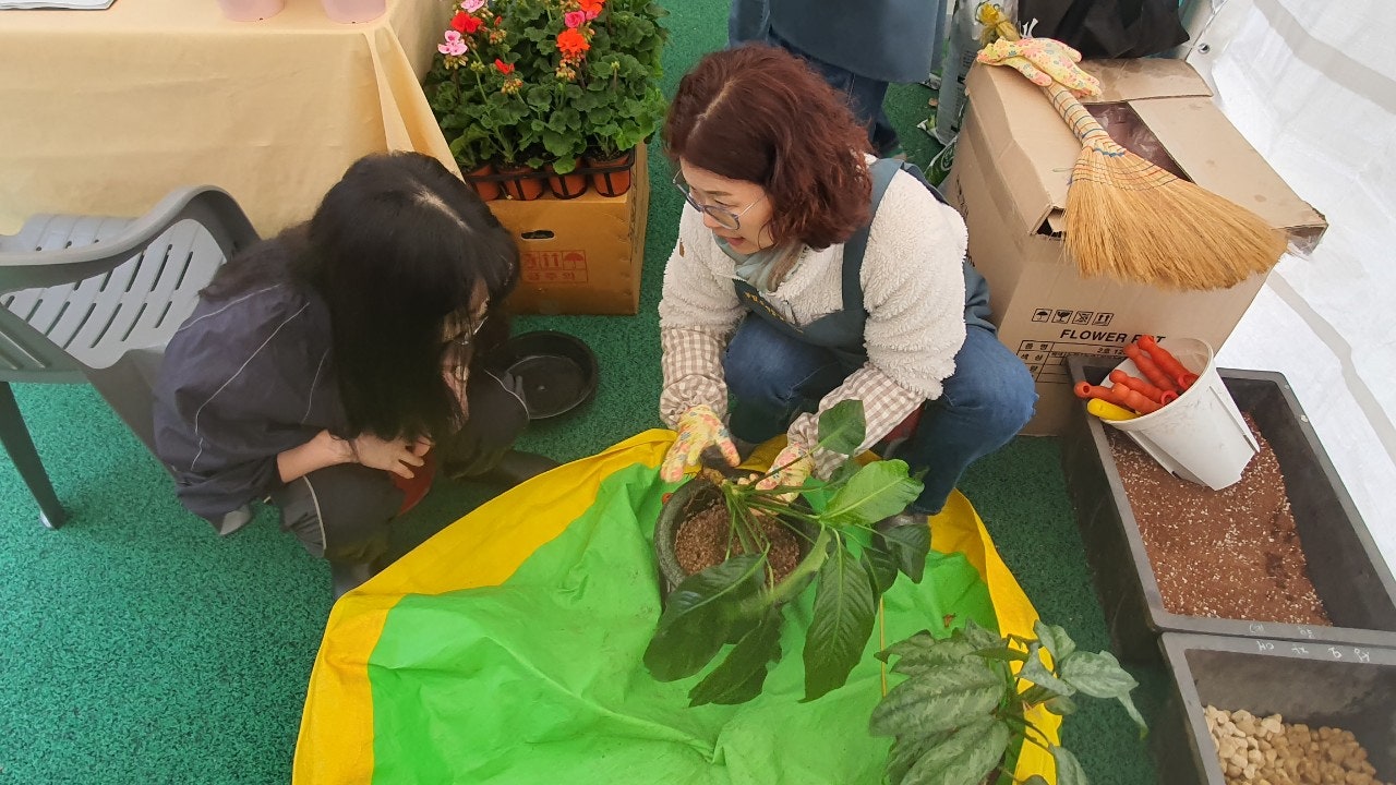 사용자가 올린 이미지