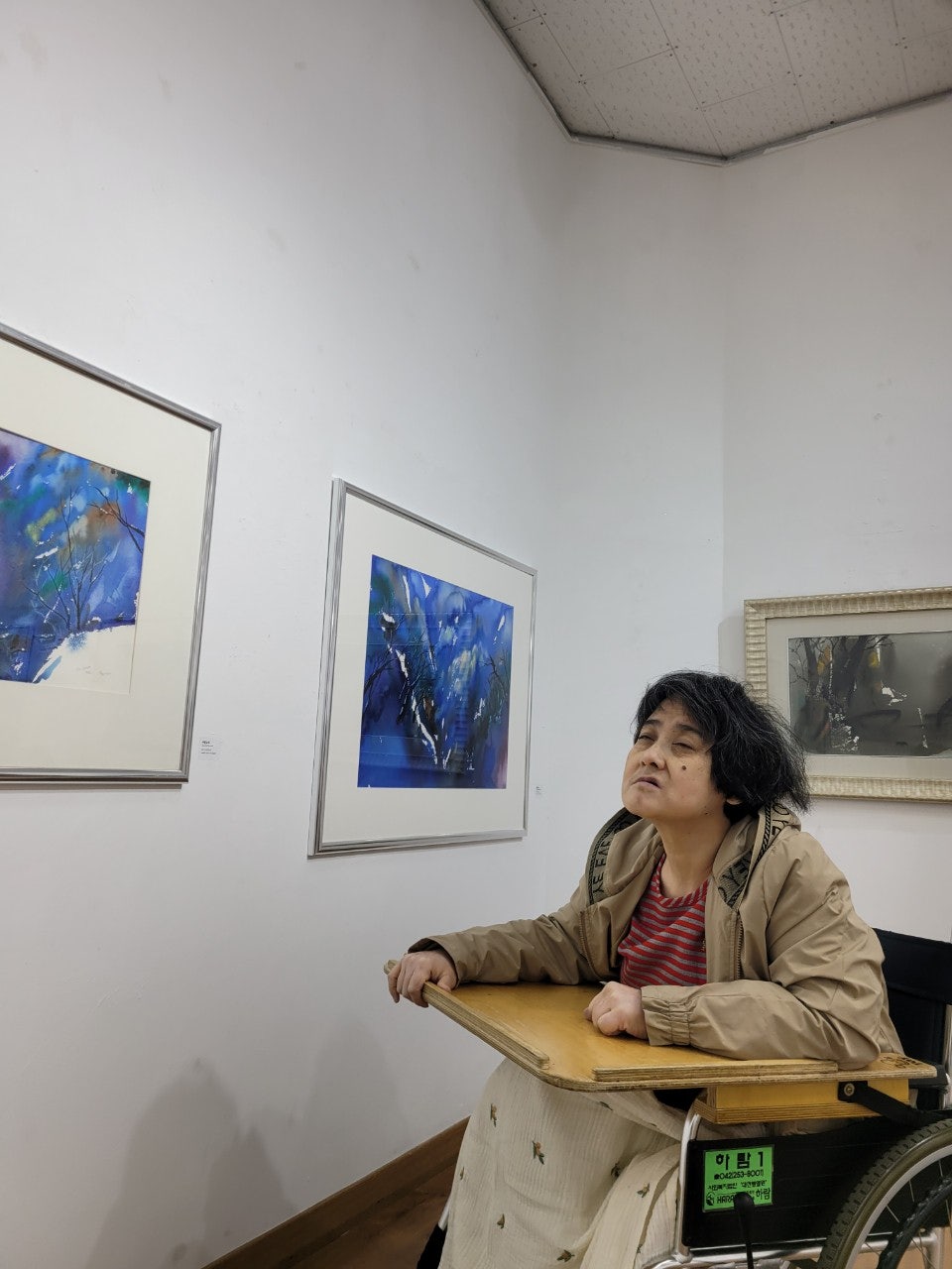 사용자가 올린 이미지