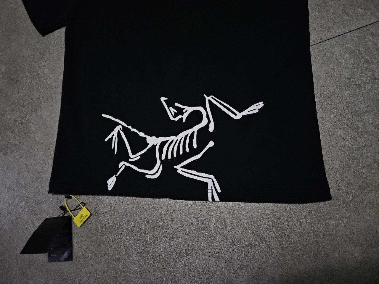 0_0j0Ud018svcam9mj221gqsc_20ltrc.jpg?type=e1920_std