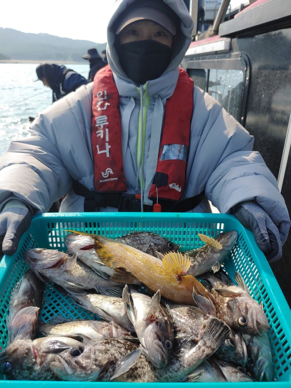 사용자가 올린 이미지