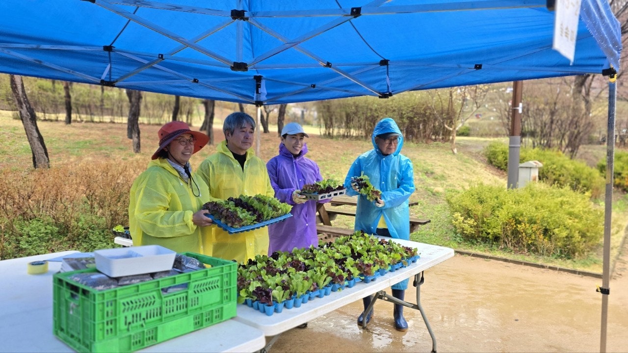 사용자가 올린 이미지