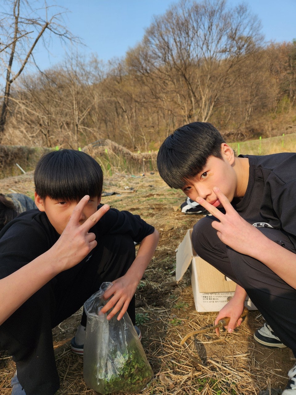 사용자가 올린 이미지