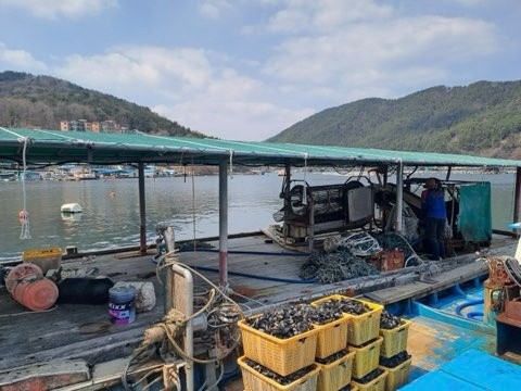 홍합 채취기 뗏목 판매합니다.