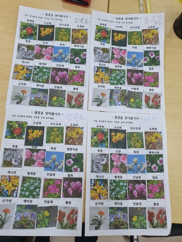 사용자가 올린 이미지