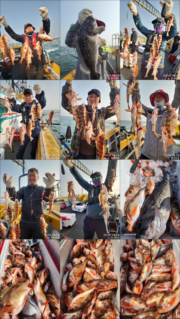 band images