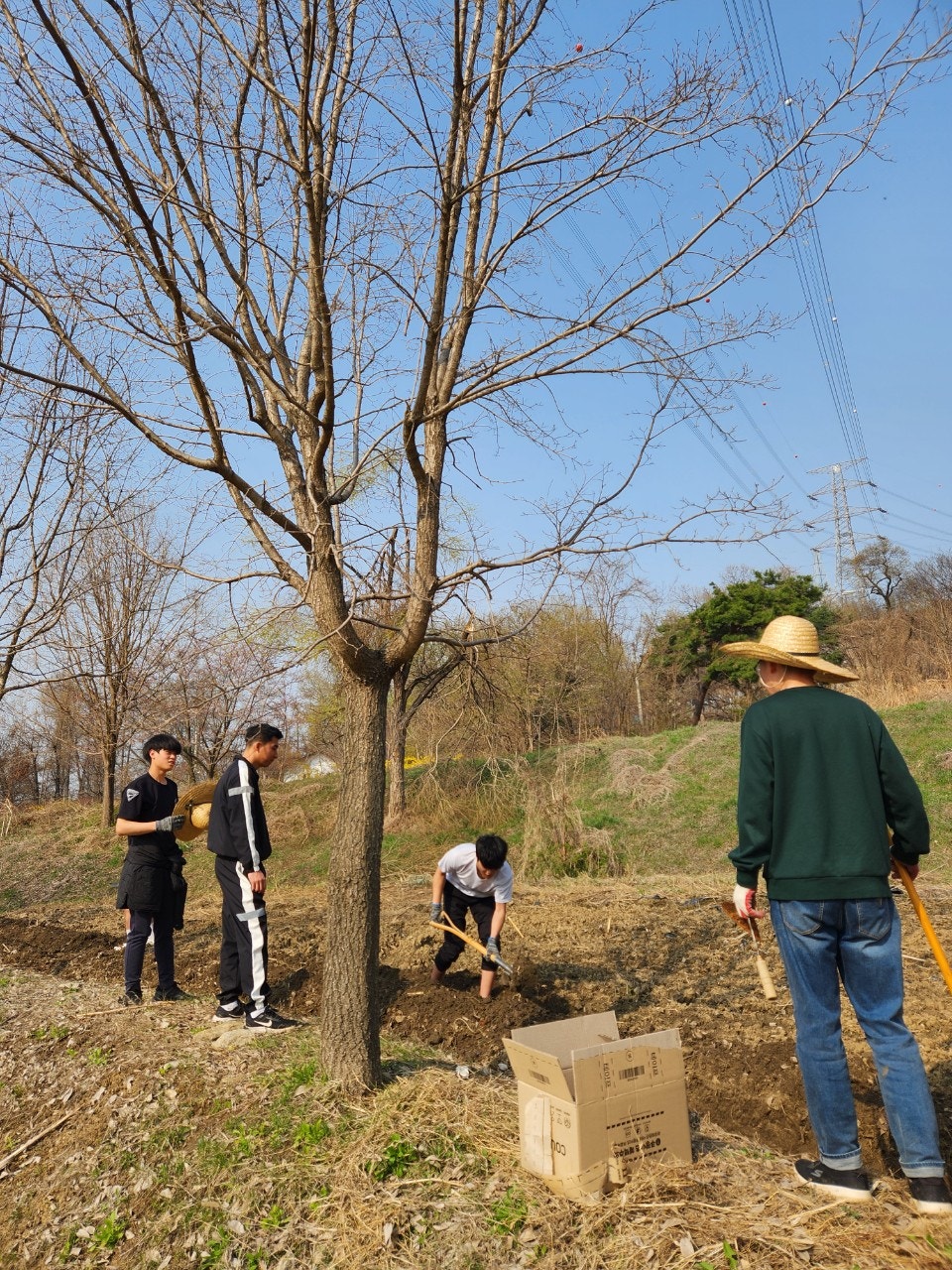사용자가 올린 이미지