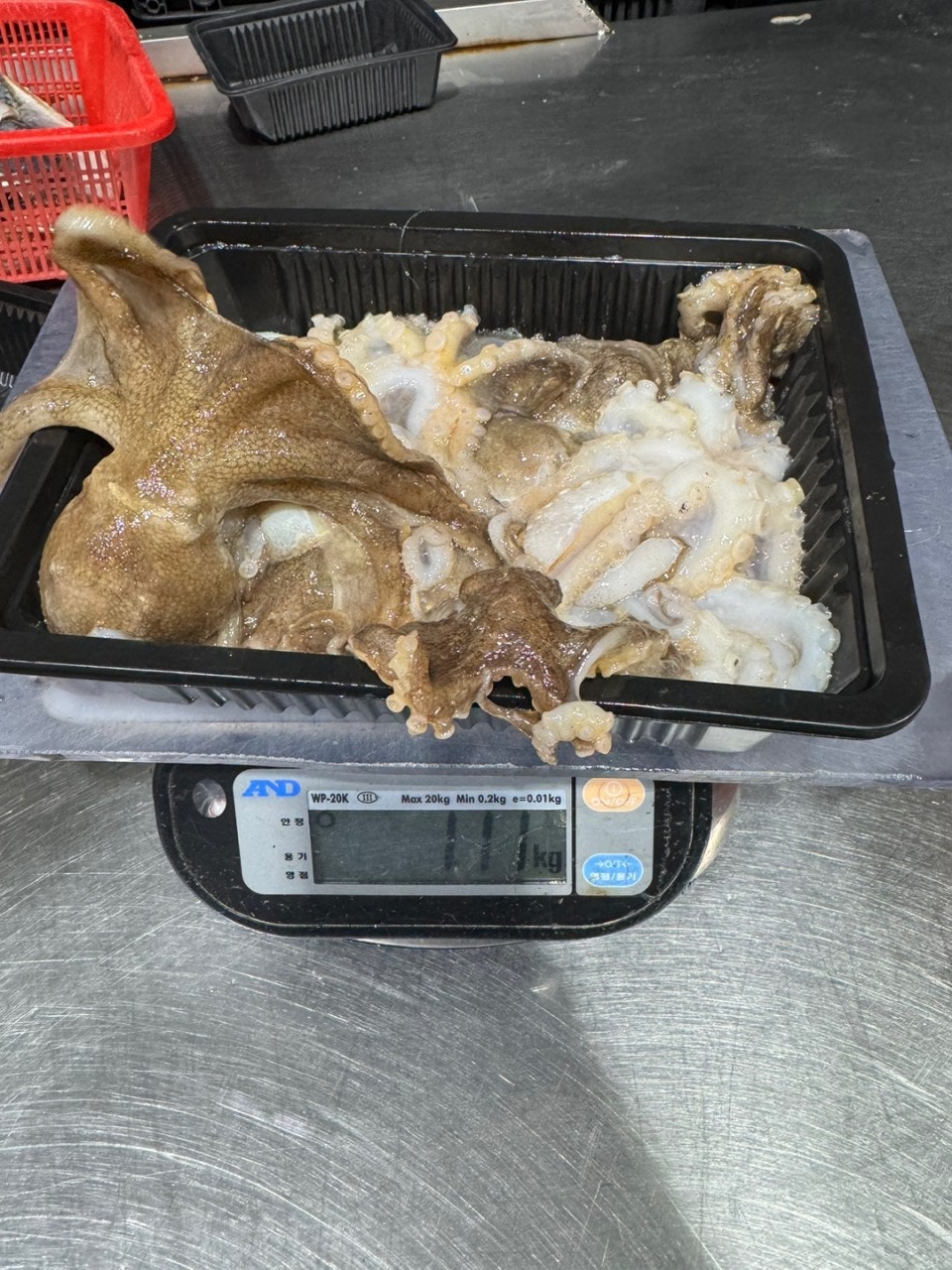 사용자가 올린 이미지