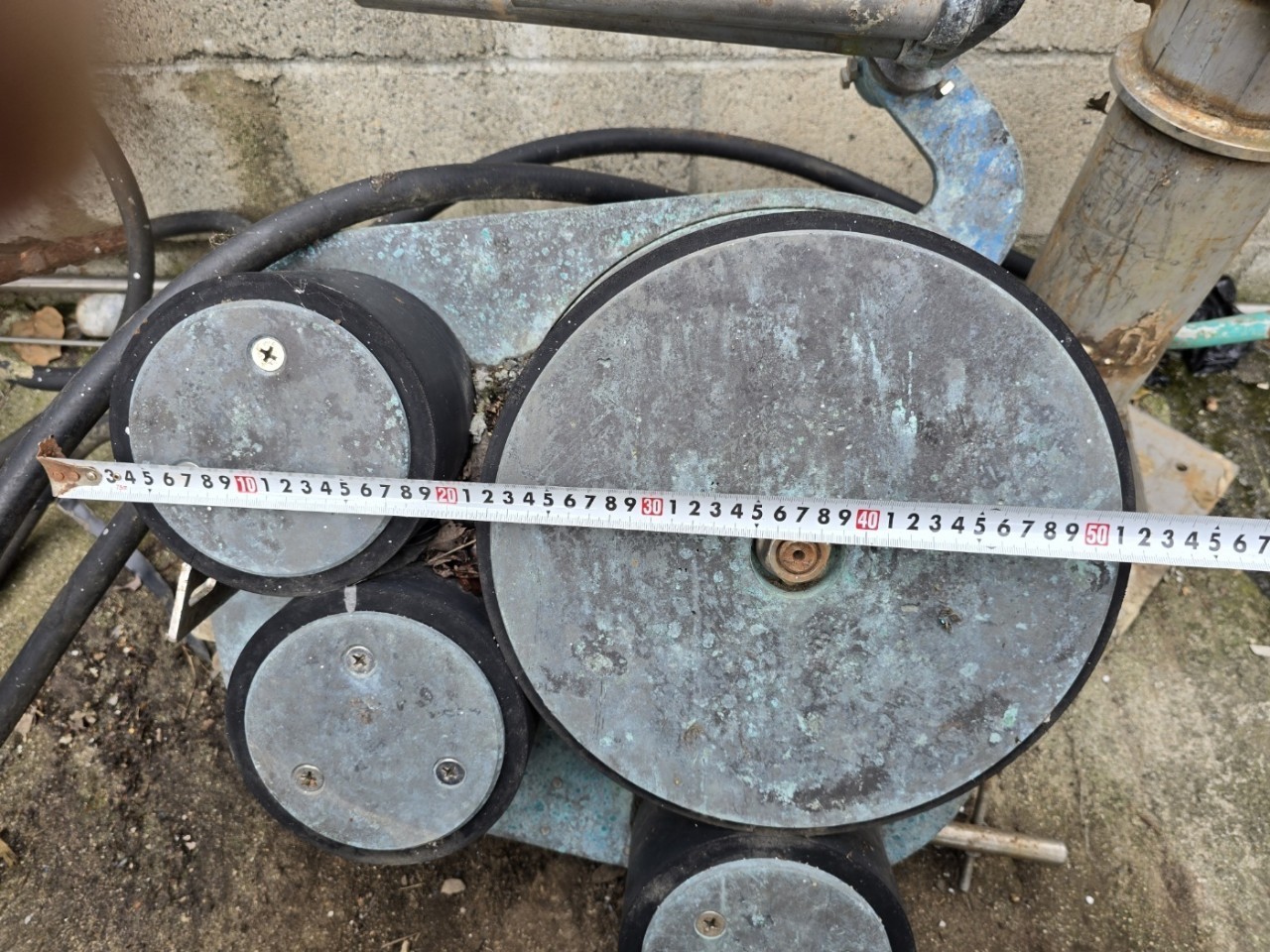양승기  판매합니다.