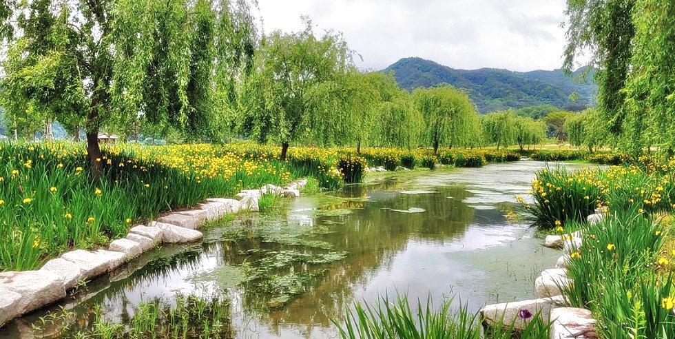 사용자가 올린 이미지