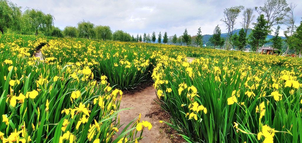 사용자가 올린 이미지