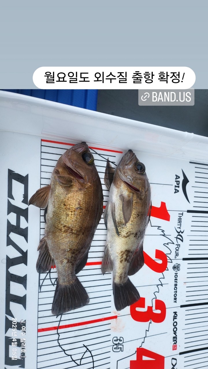 band images