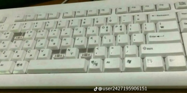 사용자 이미지