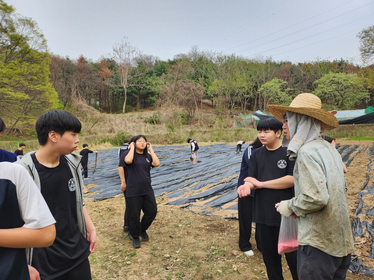 사용자가 올린 이미지