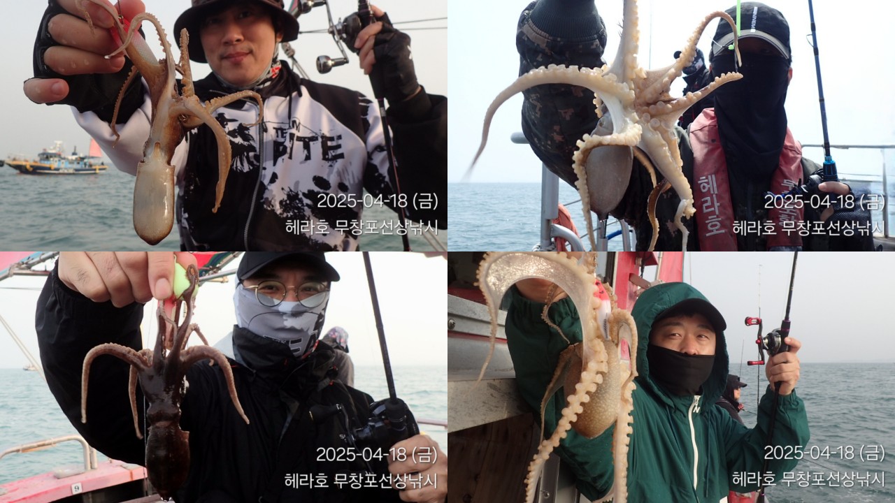 band images