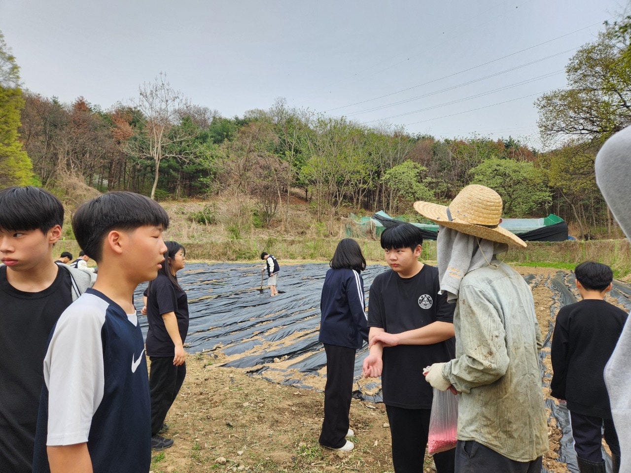 사용자가 올린 이미지