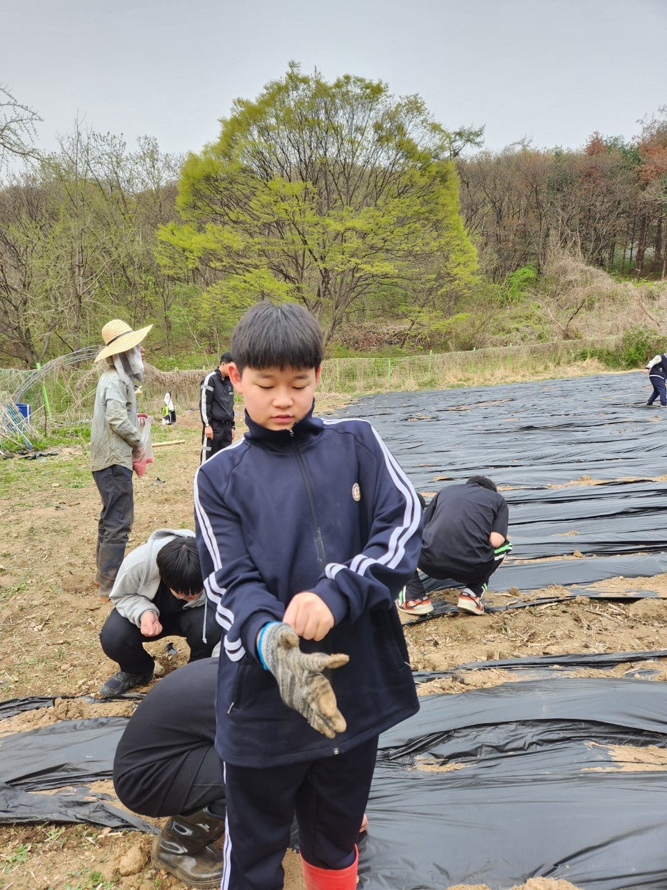 사용자가 올린 이미지