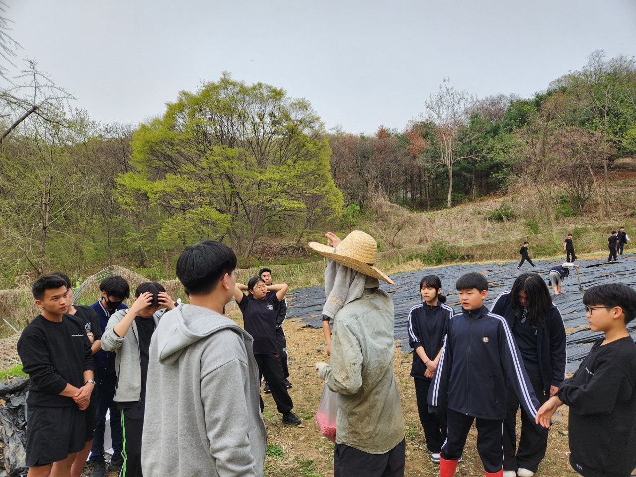 사용자가 올린 이미지