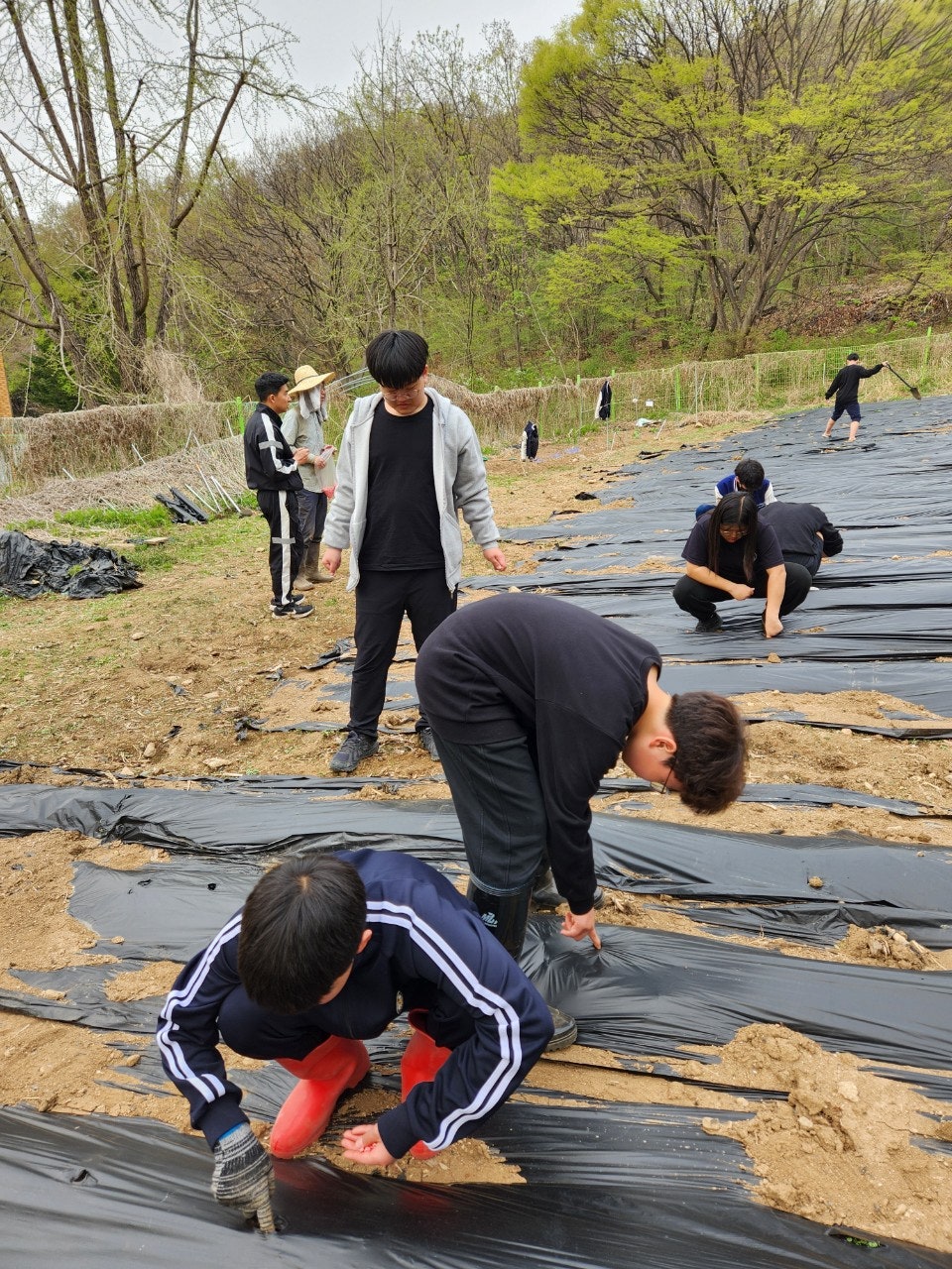 사용자가 올린 이미지