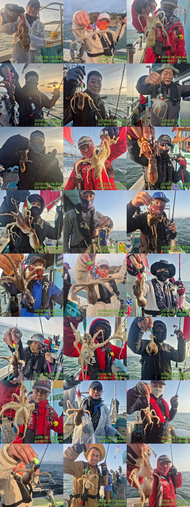 band images