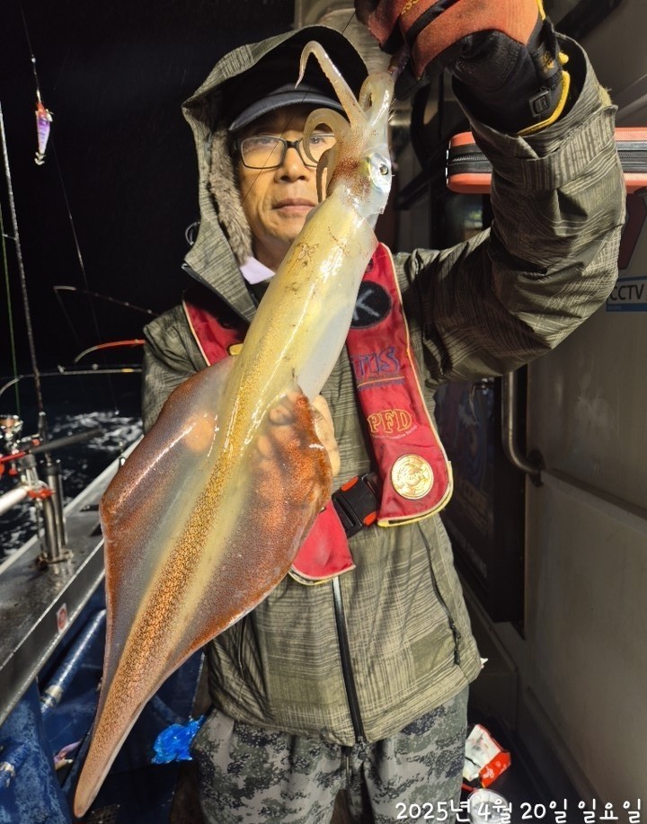band images