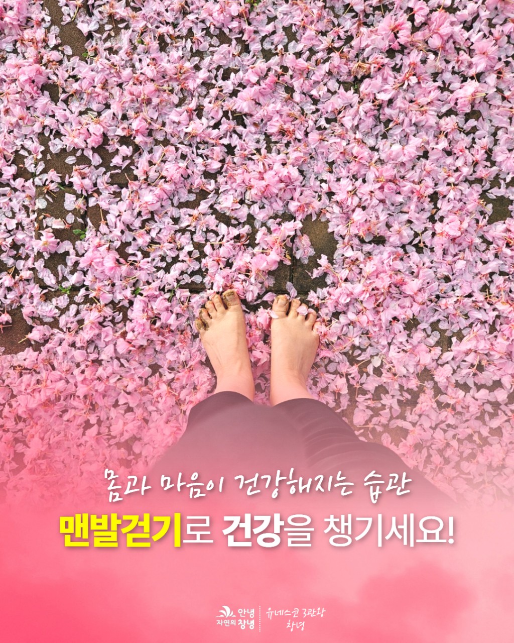 

몸과 마음이 건강해지는 습관☺
맨발걷기로 건강을 챙기세요

 자하곡 맨발걷기 산책로
 창녕읍 자하곡길 10 (주차장)
 세족장 있어요!

 창녕 만옥정공원 지압보도
 창녕읍 교상리 28-34

 낙동강유채단지 맨발걷기 산책로
 남지읍 남지리 835-16 (주차장)
 세족장 있어요!

 남지개비리 지압보도
 남지읍 낙동로 115

 계성천 맨발 황톳길
 계성면 신당리 725-71 (주차장)
 세족장 있어요!

 영산 연지 지압보도
 영산면 동리 144

 부곡 한울공원 지압보도
 부곡면 거문리 217-39

 사진촬영한 시기가 다른 점 양해부탁드립니다

 황톳길 산책길 이용 시 주의사항
✅ 맨발로 이용해 주세요!
✅ 자전거, 반려동물 출입금지
✅ 세족장에서는
◾ 사용 후 수도꼭지 잠금기
◾ 사용 후 에어건 끄기
◾ 에어건, 워터건 꼭 제자리 두기
◾ 세족 외 목적으로 사용금지
◾ 세척제, 비누 등 사용금지
◾ 반려동물 목욕금지

⭐ 창녕군 인스타그램: https://www.instagram.com/p/DIx6qjjTUc-/

#창녕군 #창녕 #맨발걷기 #산책로 #지압보도 #창녕맨발걷기