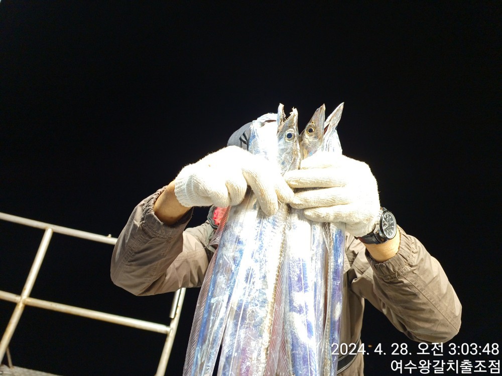 band images