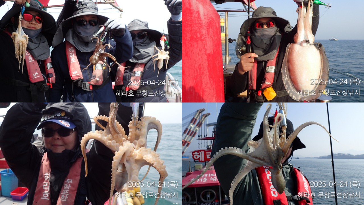 band images