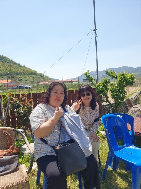 사용자가 올린 이미지