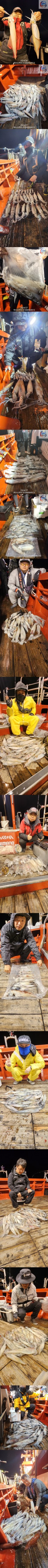 band images