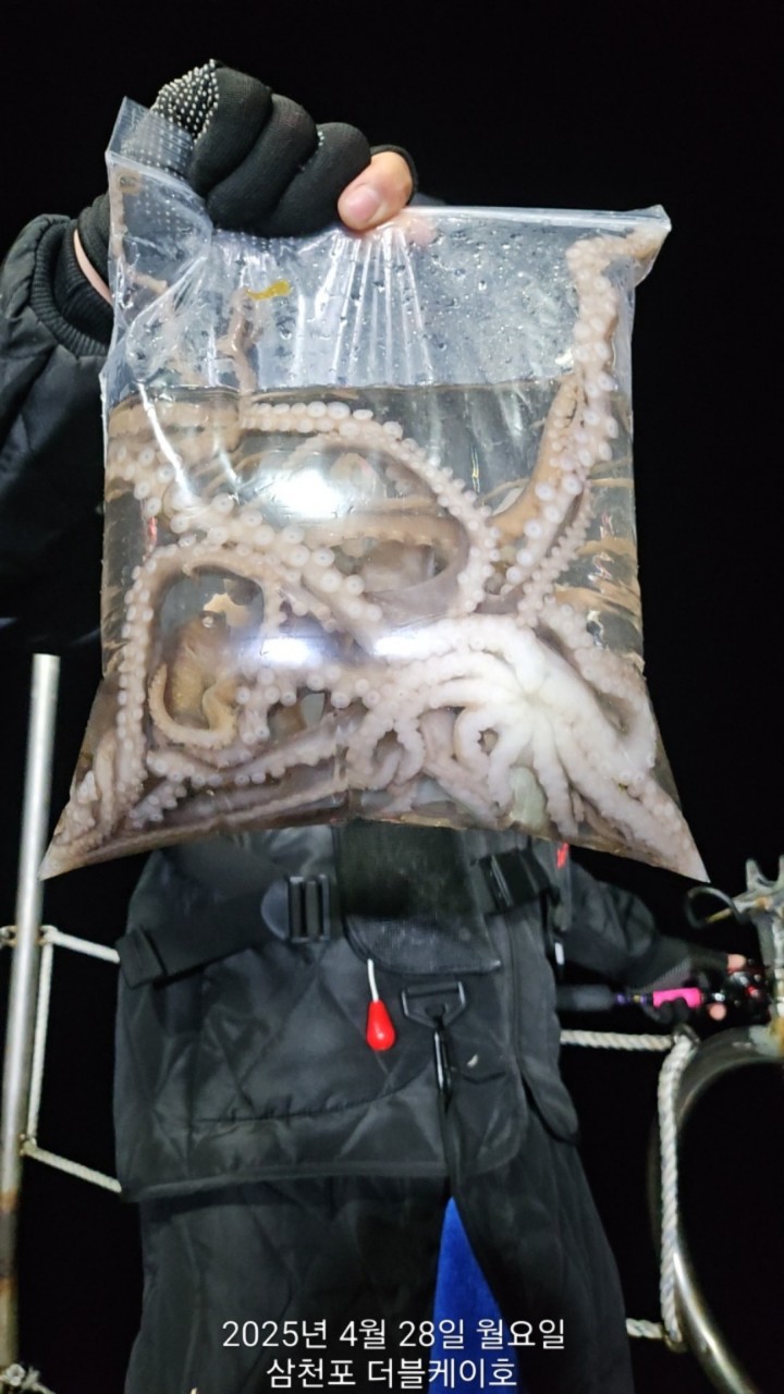 band images