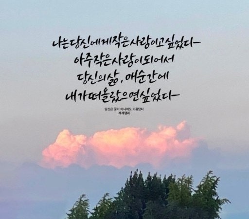 사용자가 올린 이미지