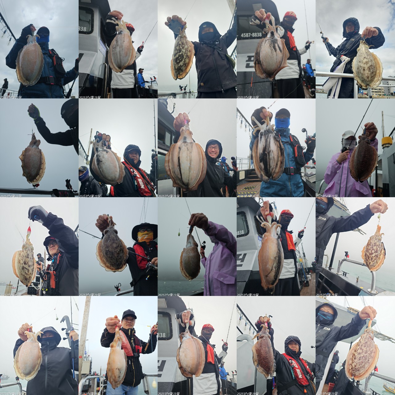 band images